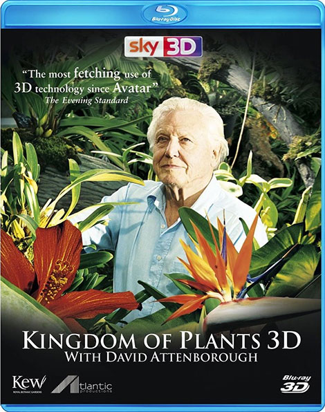 Kingdom of plants