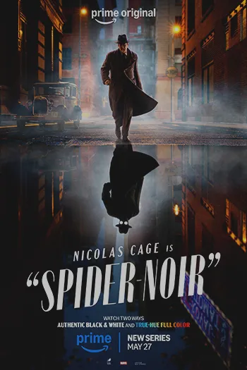 Spider Noir